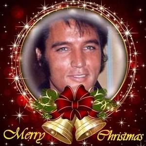 Meet your Posher, Marcia